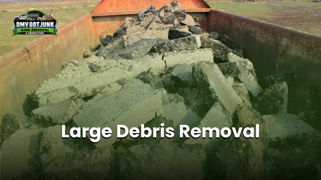 Large Debris Removal
